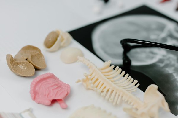 Discover the cardiovascular perks of regular tennis: how hitting the court boosts your heart health